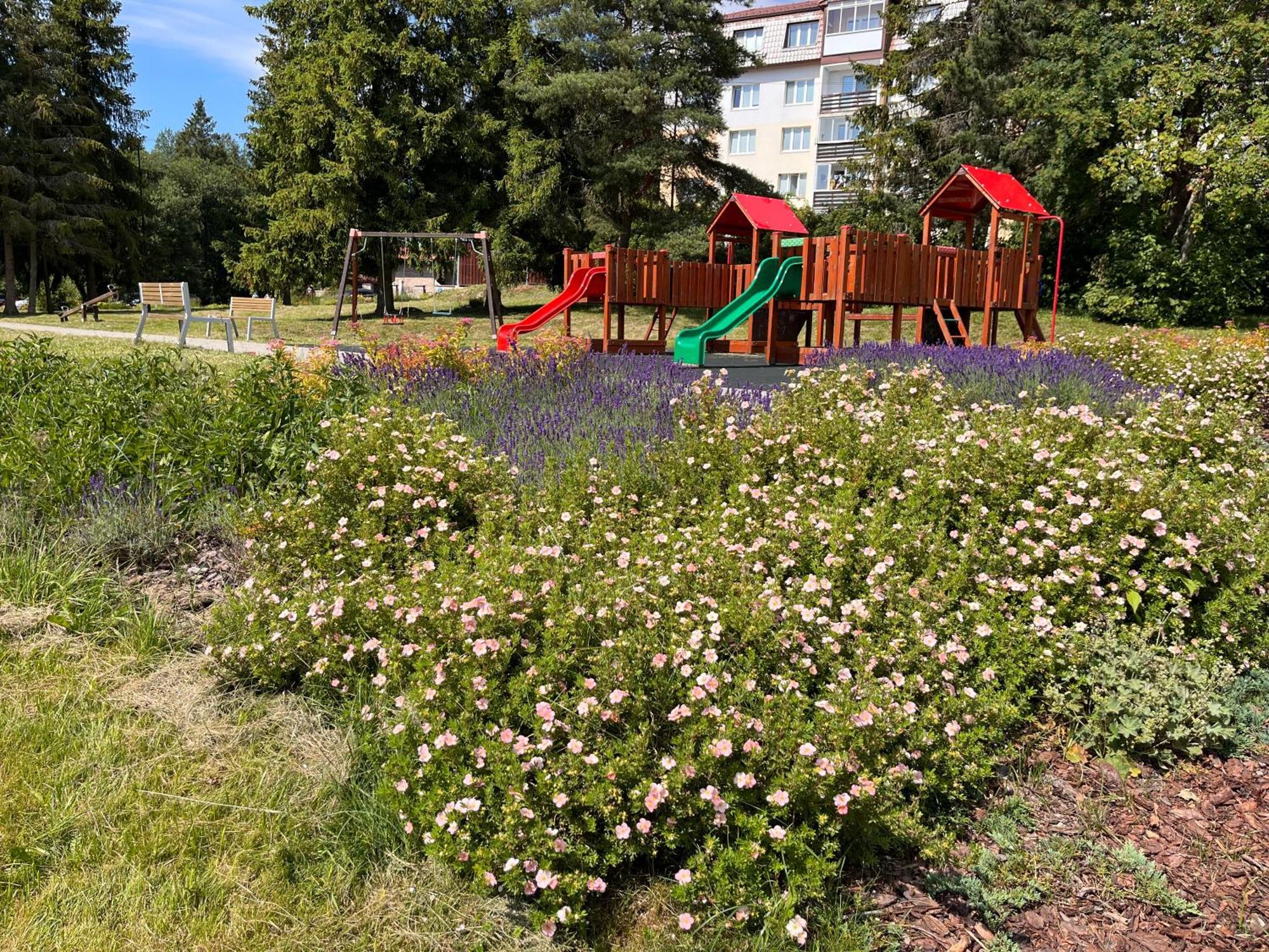 Cozy Apartment By The Forest تاترانسكا ستربا المظهر الخارجي الصورة